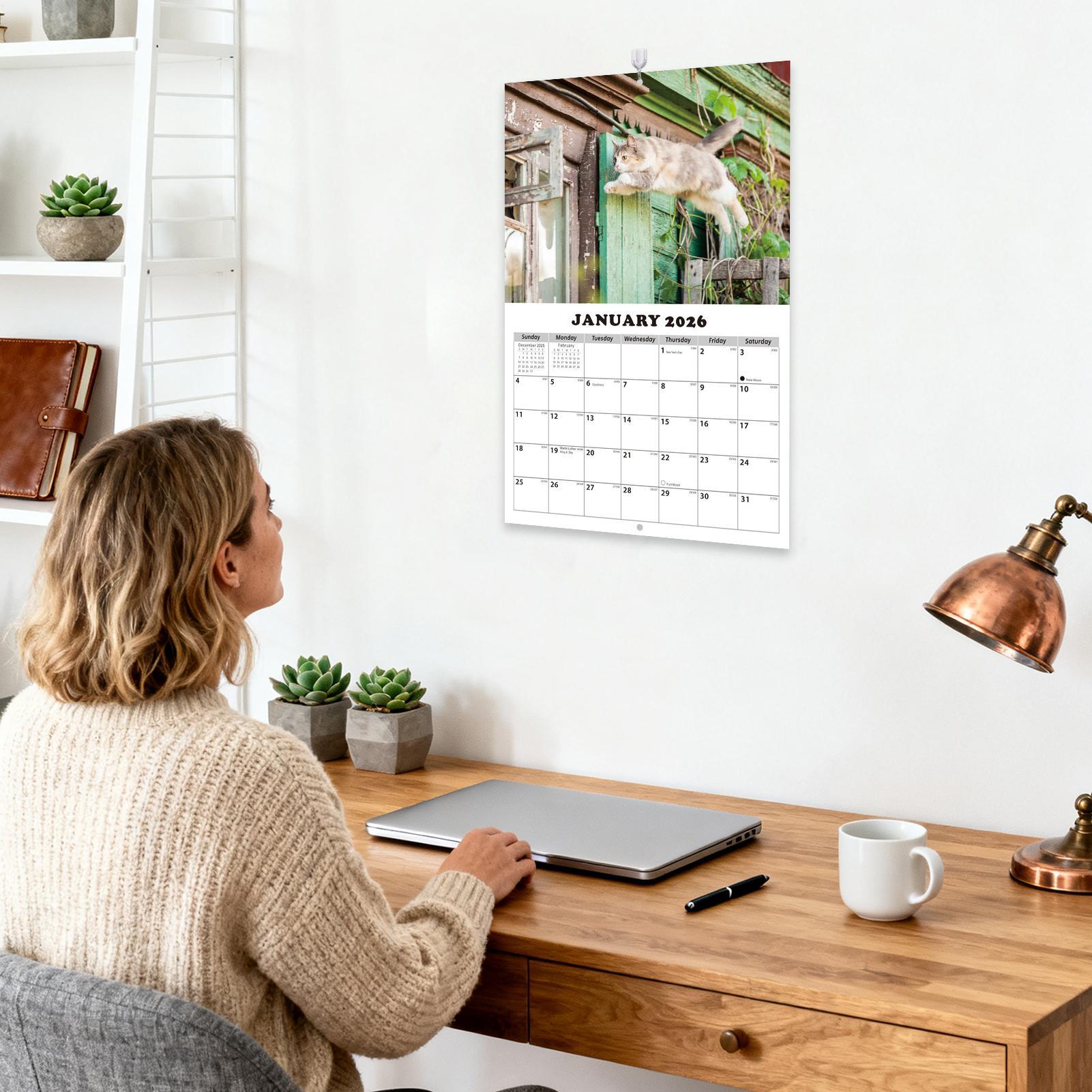English Home Office - 2026 Kedi İngilizce Duvar Takvimi 13