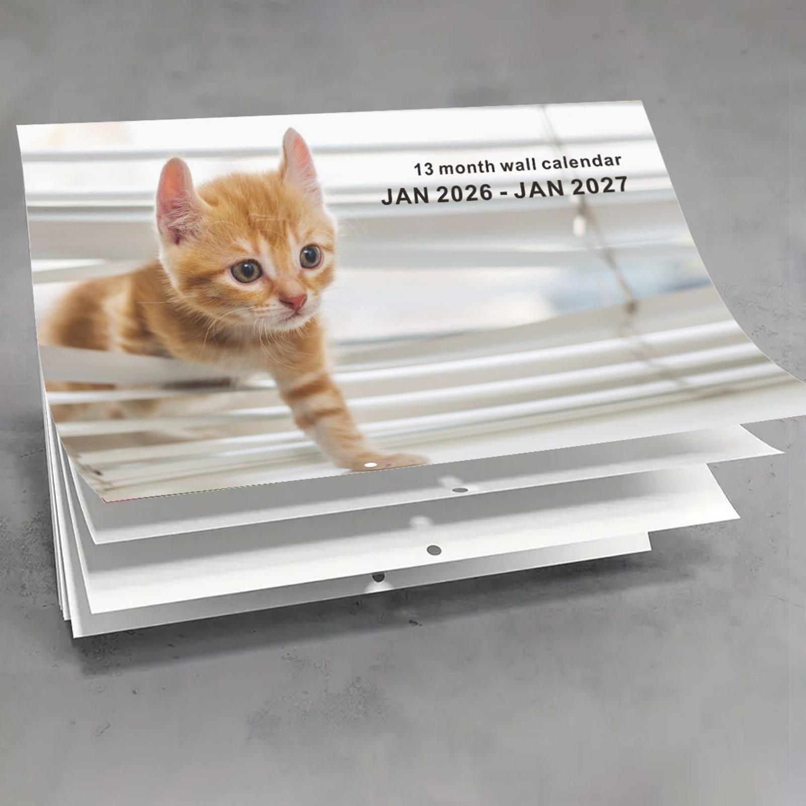 2026 Kedi İngilizce Duvar Takv - English Home Office incelemesi ve fiyatı