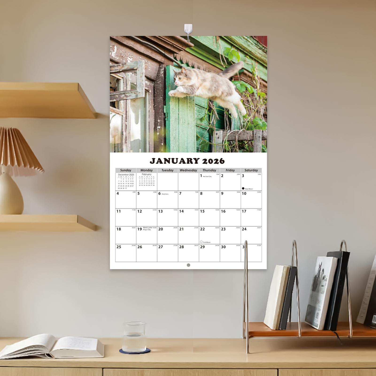 2026 Kedi İngilizce Duvar Takv - English Home Office incelemesi ve fiyatı